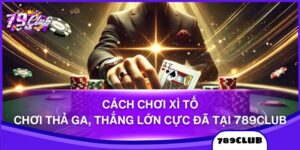 Cách Chơi Xì Tố - Chơi Thả Ga, Thắng Lớn Cực Đã Tại 789Club